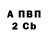 APVP СК КРИС Novak. Roney