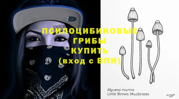 соль курить ск Арсеньев