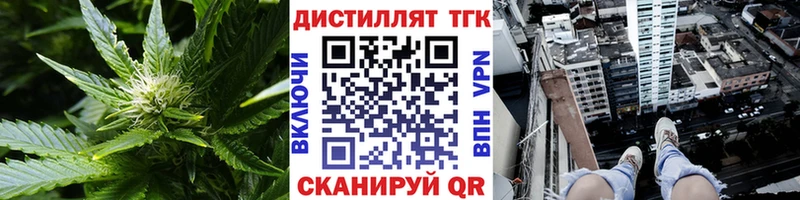 Дистиллят ТГК Wax Онега
